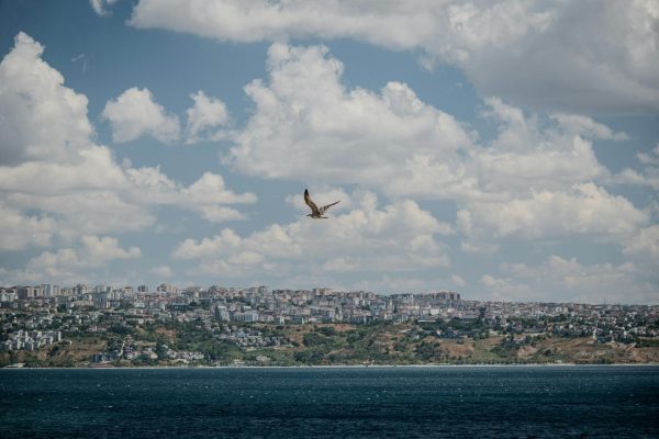 Büyük Okyanus'ta kaybolan uçakların gizli bir üs tarafından alıkonulduğu