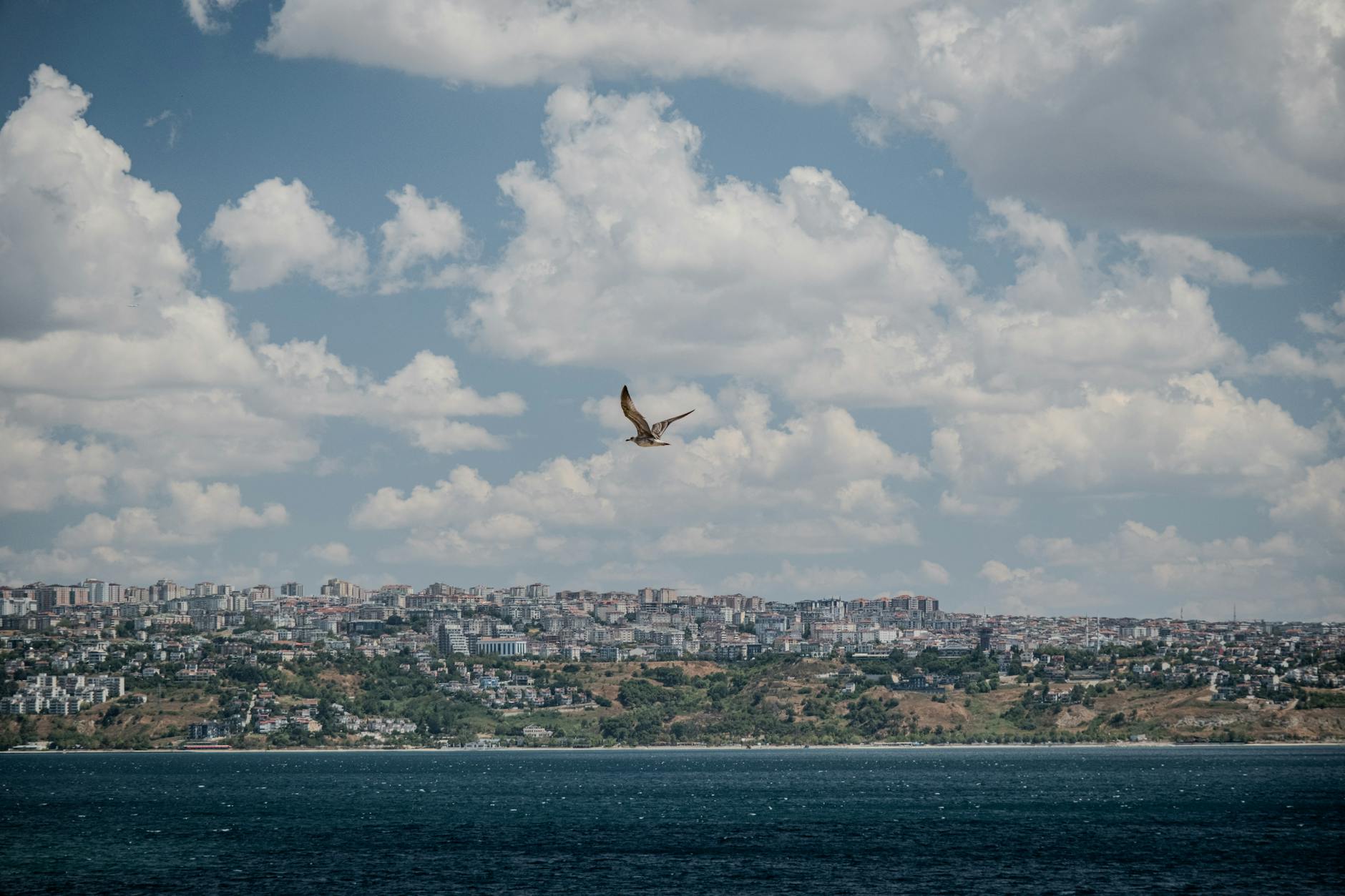 Büyük Okyanus'ta kaybolan uçakların gizli bir üs tarafından alıkonulduğu