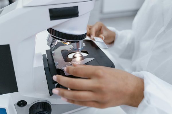 DNA ve RNA Yapısı